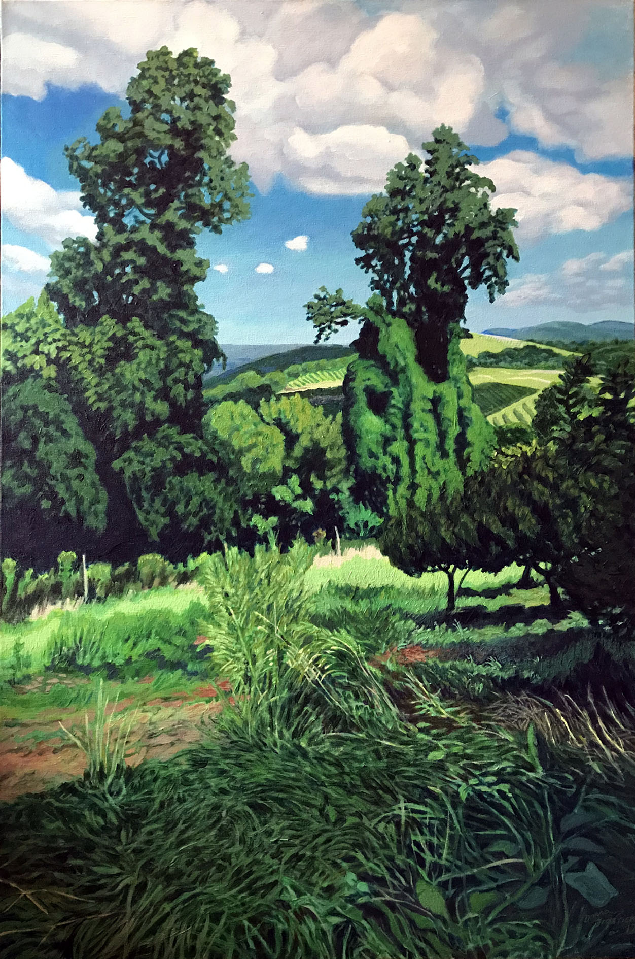 Landscape Portrait: Algernon's Orchard